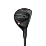 Cobra AIR-X 2024 - Hybrid (custom)