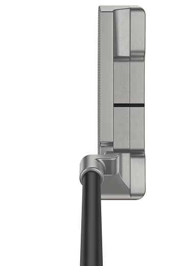 Ping Anser 2 2024