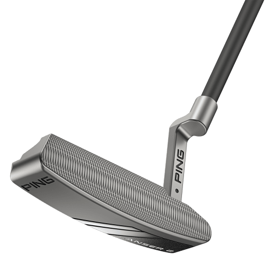 Ping Anser 2 2024