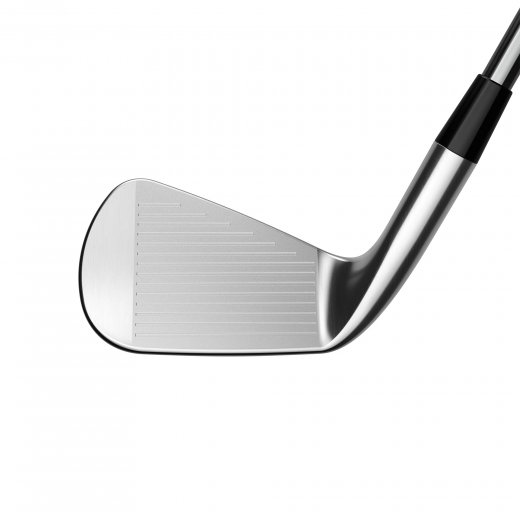 Cobra 3DP MB - 6 irons (custom)